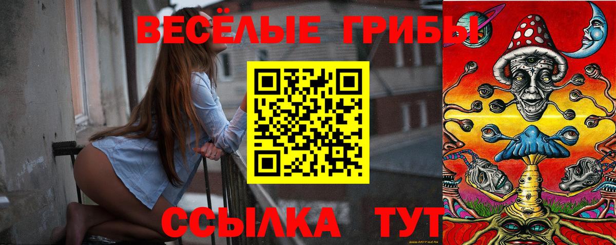 Псилоцибиновые грибы мицелий Людиново